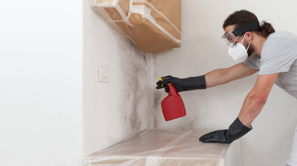 Professional Mold Removal technician working in Cibolo, TX